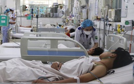 Số ca sốt xuất huyết nặng tại TP Hồ Chí Minh tăng 7 lần so với năm 2021