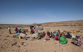 Hạn hán khiến 43 nghìn người Somalia thiệt mạng