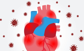 COVID-19 gây tổn thương ADN trong các mô tim