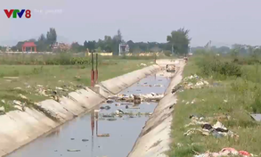 Vứt xác gia súc xuống kênh mương - Hành vi hủy hoại môi trường