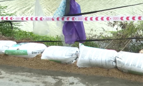 Phú Yên: Nhiều địa điểm bờ sông, bờ biển bị sạt lở nghiêm trọng