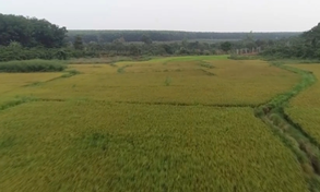 Những ngôi làng trù phú tại vùng biên giới Chư Prông, tỉnh Gia Lai