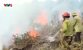 Tăng cường Phòng chống cháy rừng tại các khu du lịch Phong Nha Kẻ Bàng