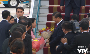 Lãnh đạo các nền kinh tế APEC tới Đà Nẵng