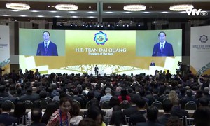 Chủ tịch nước dự Khai mạc Hội nghị Thượng đỉnh Doanh nghiệp APEC