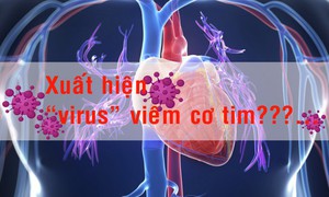 Xuất hiện "virus" viêm cơ tim???...