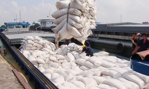 Điều hành xuất khẩu gạo: Cần công khai, minh bạch và hài hòa lợi ích các bên