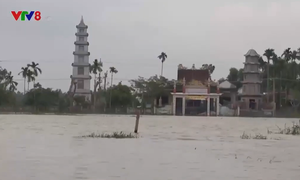 Quảng Ngãi khắc phục thiệt hại do mưa lũ