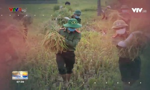 Công an gặt lúa giúp dân vì phải cách ly do Covid-19