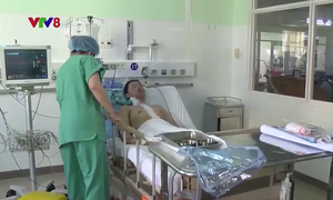Bệnh viện Trung ương Huế thực hiện thành công ca ghép tim xuyên Việt