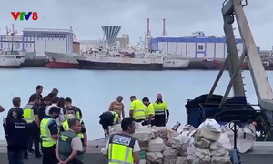 Tây Ban Nha: Thu giữ gần 3 tấn cocaine giấu trong thuyền đánh cá