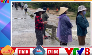 Cập nhật tình hình mưa lũ Miền Trung trên VTV8