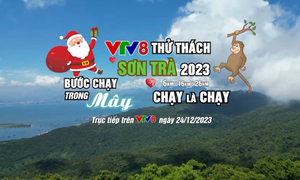 Hào hứng giải chạy "VTV8 - Thử thách Sơn Trà 2023"