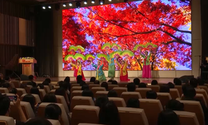 Sôi động Tuần lễ giao lưu văn hóa ASEAN - Hàn Quốc