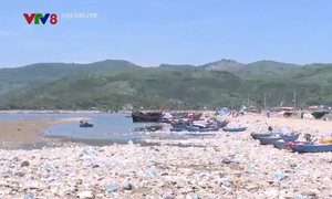 Giải pháp xử lý ô nhiễm ở đầm Sa Huỳnh, Quảng Ngãi
