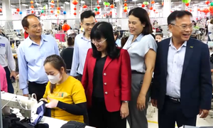 Phú Yên: Các doanh nghiệp sôi nổi ngày đầu ra quân sản xuất đầu năm