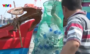 Ngư dân Bình Định gom rác thải trong chuyến đánh bắt vào bờ