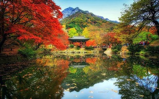 Cảnh đẹp như chốn thần tiên ở Hàn Quốc: Ngỡ ngàng cảnh đẹp như ...