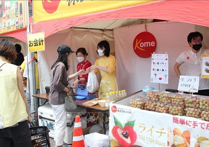 Vietnamese fruits attract attention at festival in Tokyo