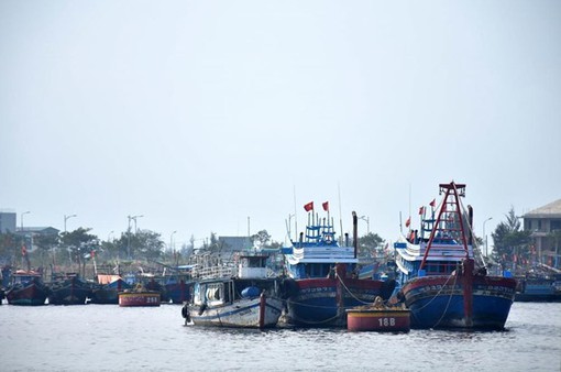 Nhiều tàu cá tại Kiên Giang cam kết không đánh bắt trái phép