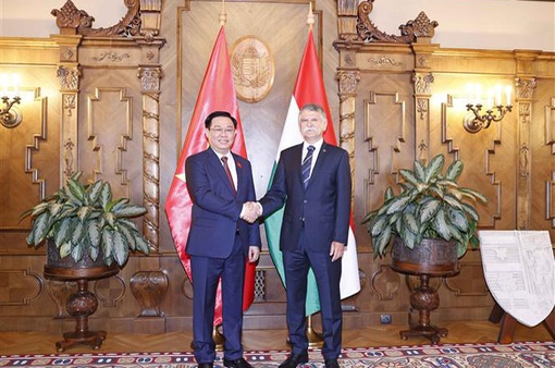Việt Nam là đối tác quan trọng của Hungary ở Đông Nam Á