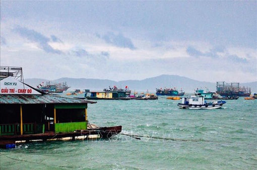 Từ 12h ngày 10/8, Quảng Ninh tạm dừng cấp phép các phương tiện thủy ra khơi