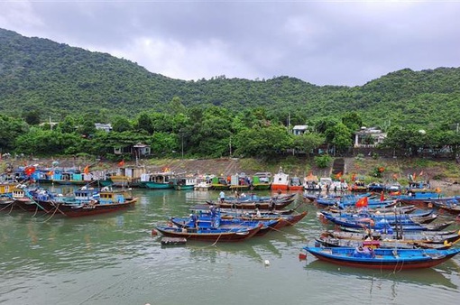 Ứng phó bão số 4, Quảng Nam sơ tán hơn 133.000 dân