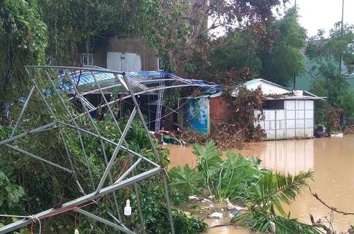 CẬP NHẬT thiệt hại do bão số 4: Quảng Nam nhiều trường học bị tốc mái, Đà Nẵng có hơn 400 cây xanh ngã đổ