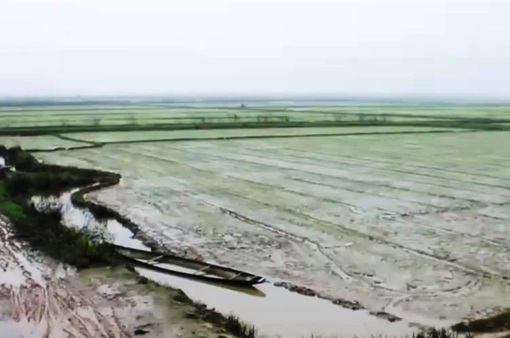 Mưa lớn gây ngập úng hàng nghìn hecta lúa ở Thừa Thiên-Huế