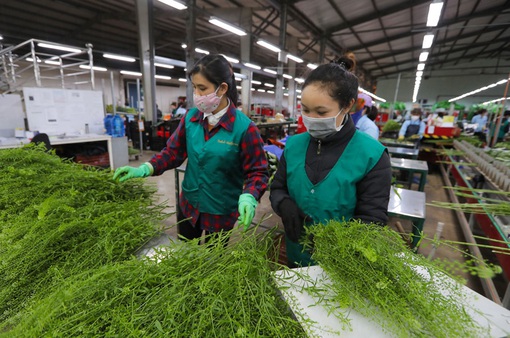 Doanh nghiệp Lâm Đồng tăng tốc sản xuất ngay từ đầu năm