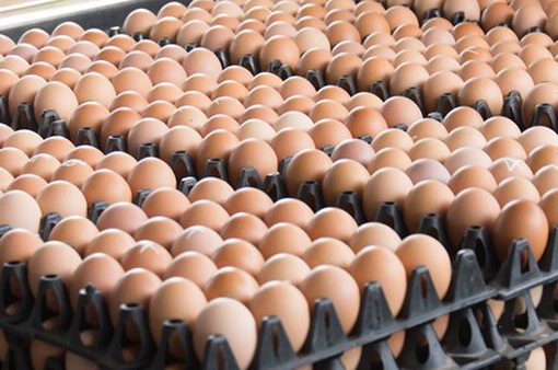 Giá trứng tại Nhật Bản tăng kỷ lục