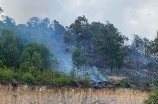 Quảng Ninh: Cháy rừng khiến 2 người tử vong