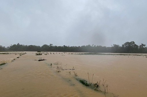 Hà Tĩnh: Cứu sống 2 người dân bị lật thuyền trong mưa lũ
