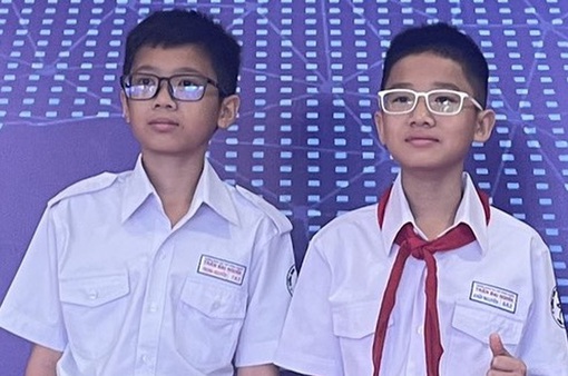 Hai anh em Việt đạt điểm Toán tiểu học top 1% thế giới