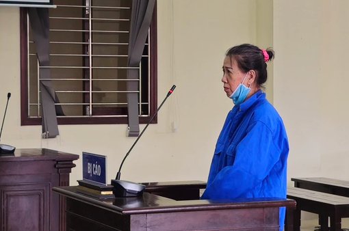 Hoạt động chống phá Nhà nước, Nguyễn Thị Bạch Huệ lĩnh 12 năm tù