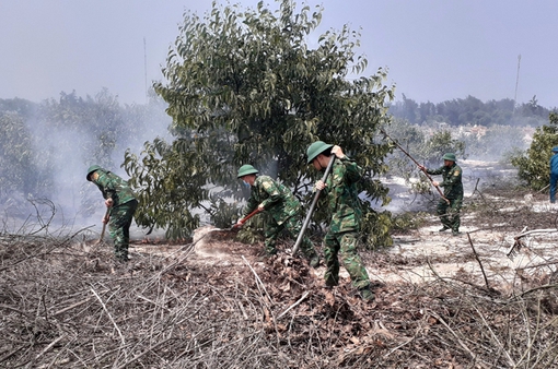 Cháy 2 ha rừng trồng tràm tại Thừa Thiên Huế