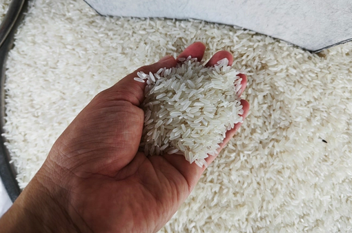 Việt Nam trở thành đối tác xuất khẩu gạo lớn nhất tại Singapore
