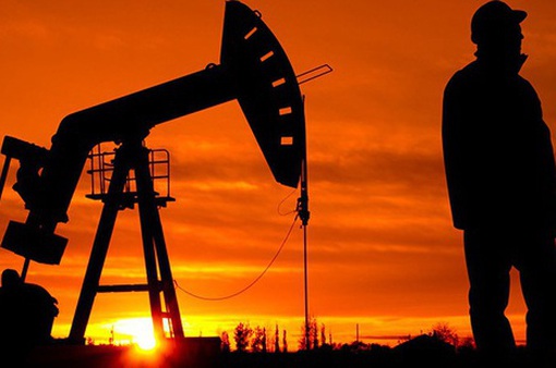 Nga hạ dự báo giá dầu xuất khẩu