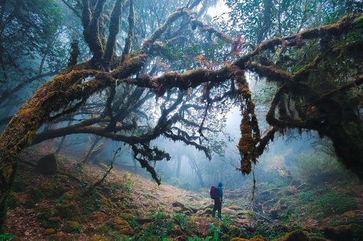 Chinh phục Sa Mu - đỉnh núi có rừng rêu ma mị "hot" nhất Tây Bắc