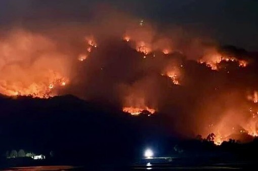 An Giang: Khẩn trương chữa cháy rừng trên khu vực xã Núi Tô