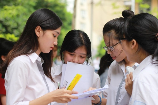 Hướng dẫn cách đăng ký tuyển sinh lớp 10 tại TP Hồ Chí Minh năm 2024