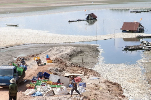Đồng Nai: Làm rõ nguyên nhân hơn 100 tấn cá chết nổi trắng hồ Sông Mây