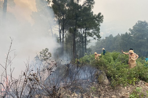 Hàng trăm cán bộ, chiến sĩ và người dân tham gia chữa cháy rừng