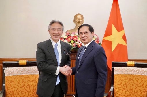 Thúc đẩy việc Nhật Bản đơn giản hóa thủ tục cấp visa cho công dân Việt Nam