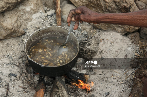Đa số người dân ở các nước châu Phi bị đe dọa bởi nạn đói