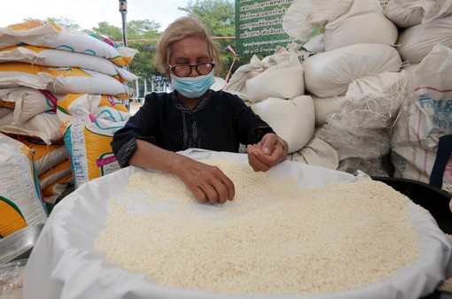 Thái Lan: Gạo dự trữ 10 năm an toàn khi tiêu dùng