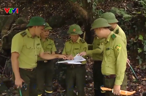 Nâng cao hiệu quả giữ rừng của kiểm lâm Việt Nam