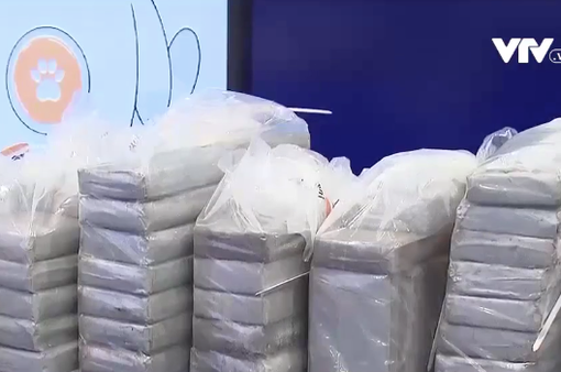 Thu giữ lượng lớn cocaine tại Hong Kong (Trung Quốc)