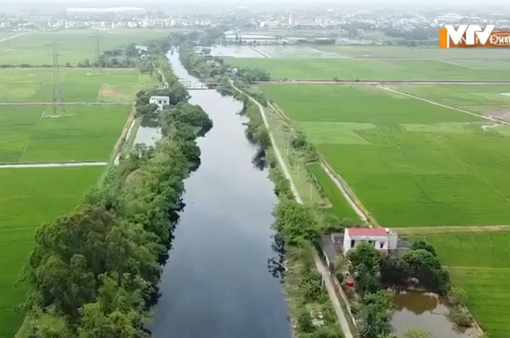 Nước kênh ở xã Đại An chuyển màu đen, hôi thối, kéo dài nhiều km