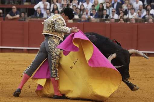 Tây Ban Nha bãi bỏ giải đấu bò quốc gia